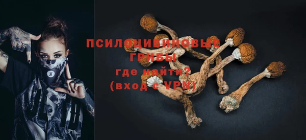 эйфоретик Инсар