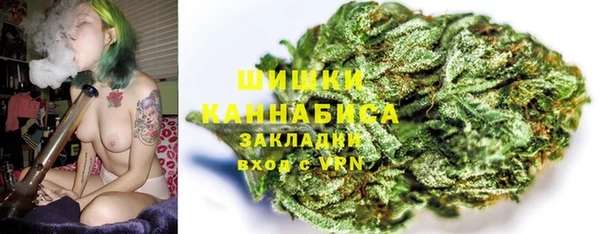 гашик Каменка