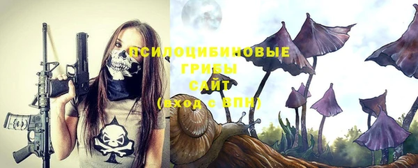 эйфоретик Инсар