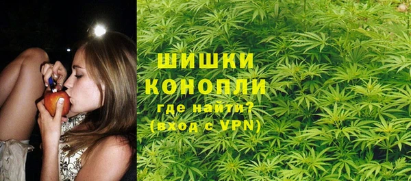 эйфоретик Инсар